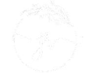 Justyna Romaniuk — logo