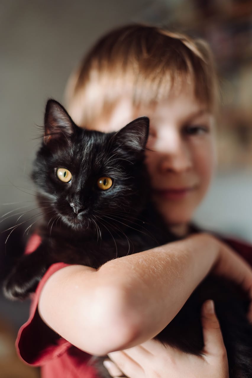Justyna Romaniuk Fotografia – Rodzinne domowe, zdjęcie 36